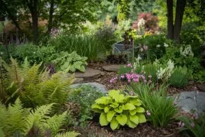 Top Perennials for Shade Gardens