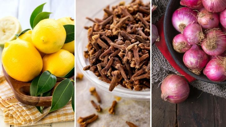 Why Clove, Lemon, and Onion Are a Powerful Natural Combo for Your Wellbeing