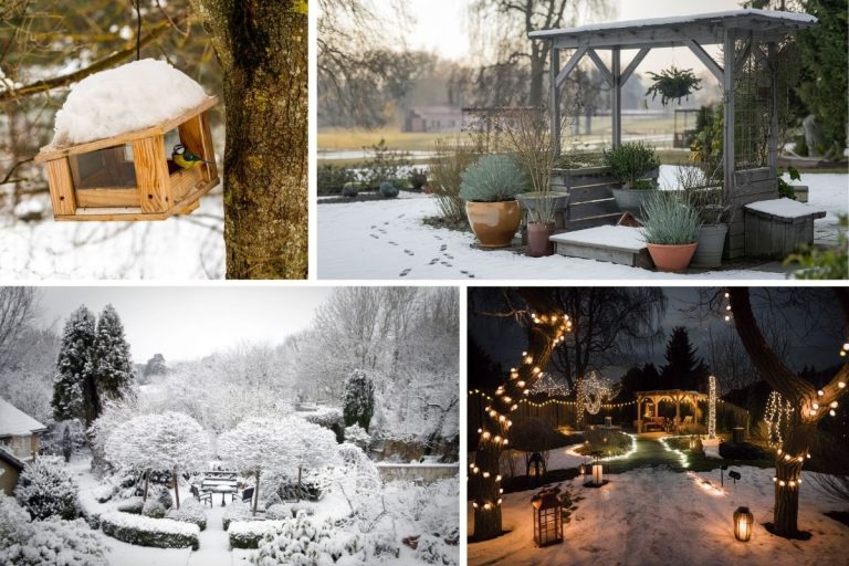 12 Winter Gardening Ideas That Prove Gardening Doesn’t Stop in the Cold
