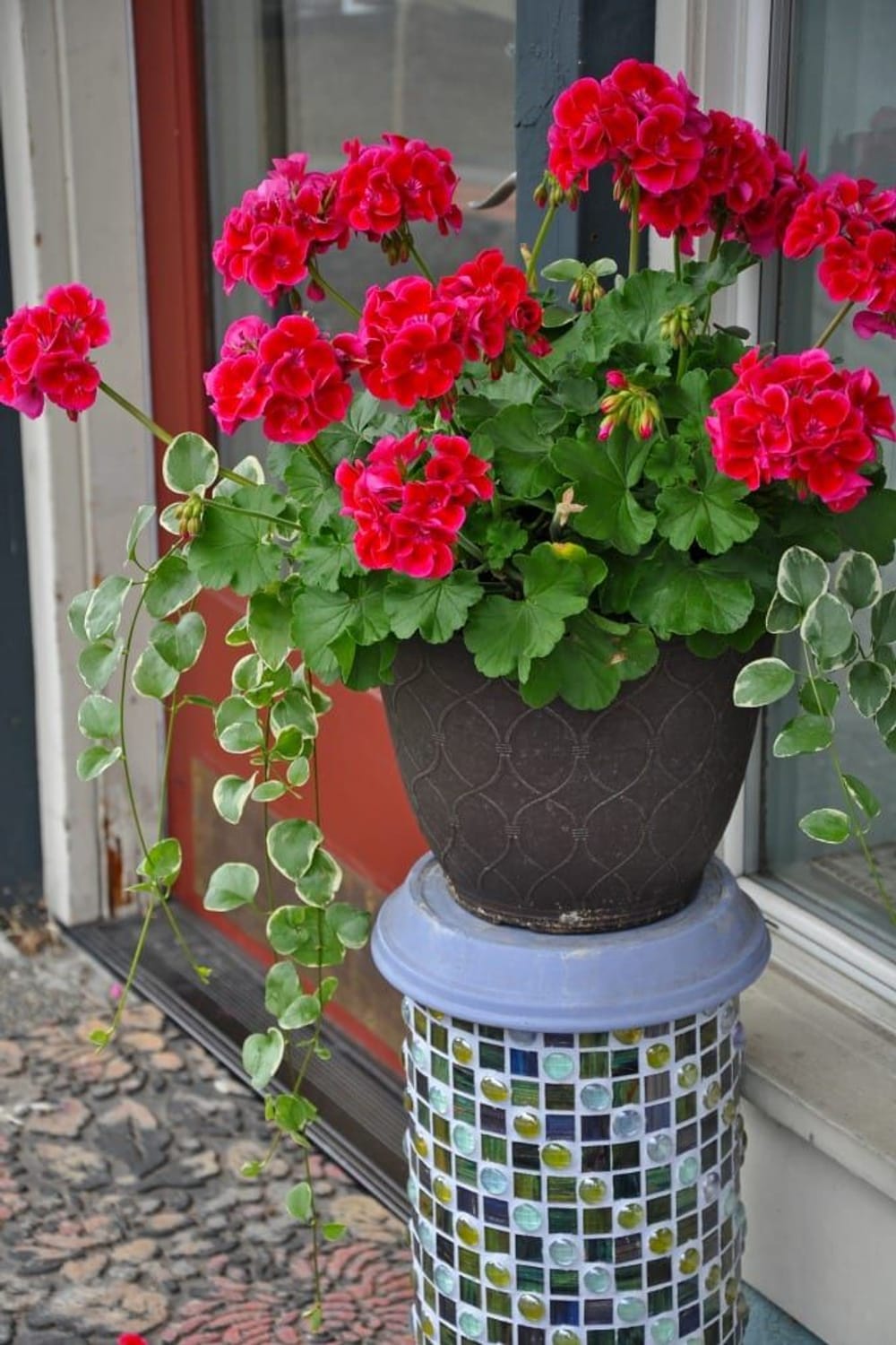 Container Flower Garden Ideas