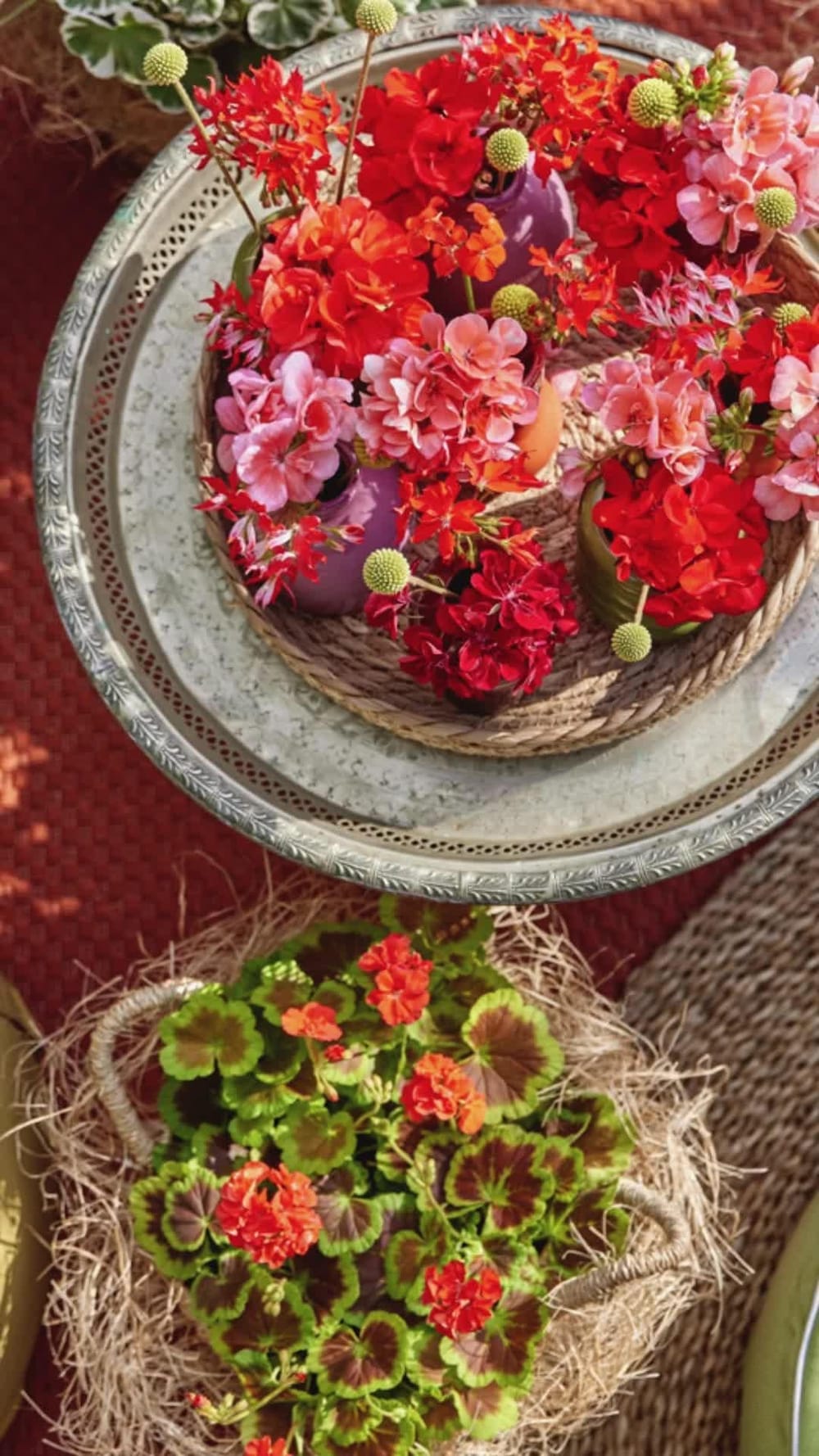 Garden decor | geraniums