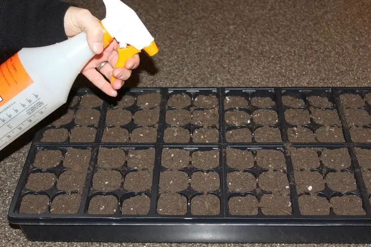 How To Start Vegetable Seeds Indoors - The 5 Simple Secrets To Success!