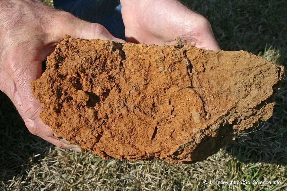 Improving Clay Soil In Your Yard