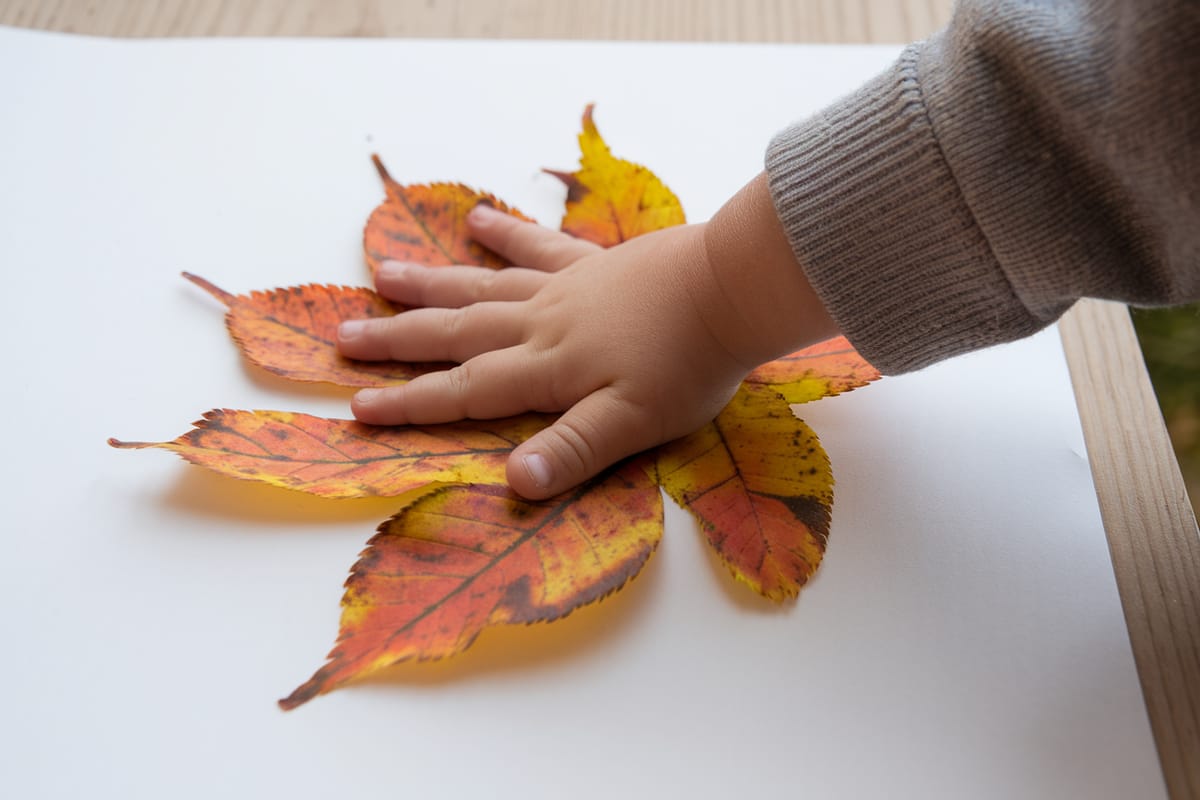 Leaf Art and Composting