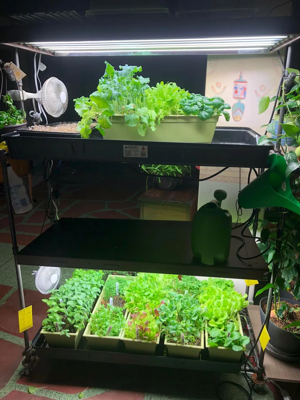 Made myself a mobile two tier indoor organic vegetable garden for the  apartment. : r/gardening