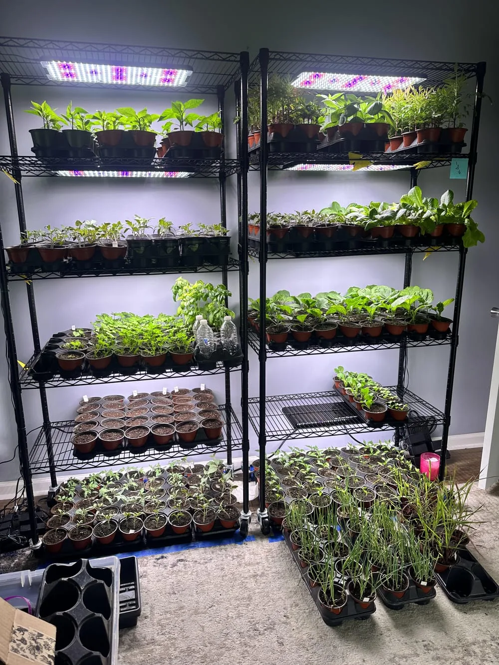 What are your setups for starting seeds indoors : r/vegetablegardening