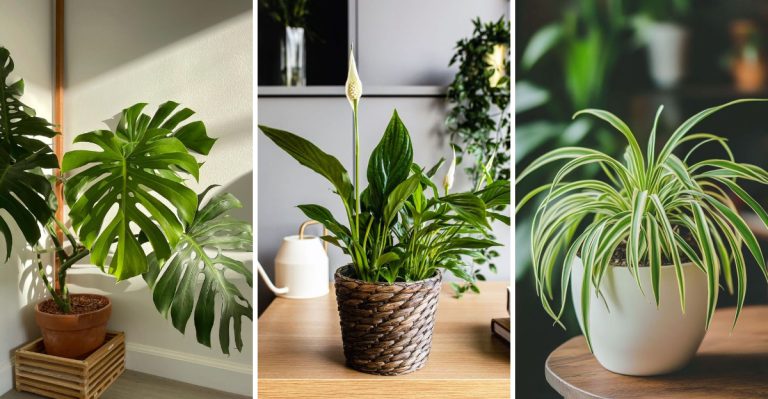 10 Houseplants You’ll Wish You Never Brought Indoors