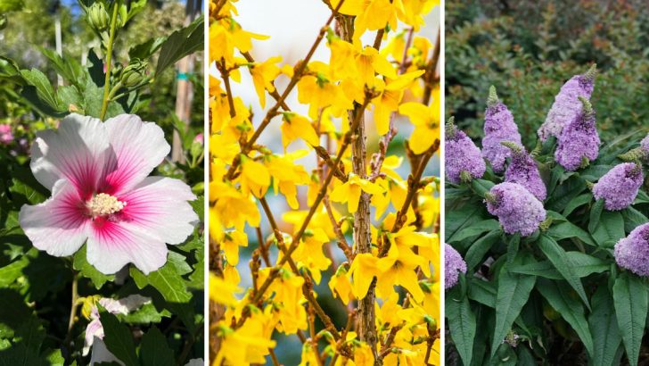 10 Shrubs to Keep Out of Your Yard if You Want a Low-Maintenance Garden