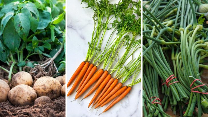 11 Vegetables You Didn’t Know You Could Regrow Right From Your Kitchen Scraps