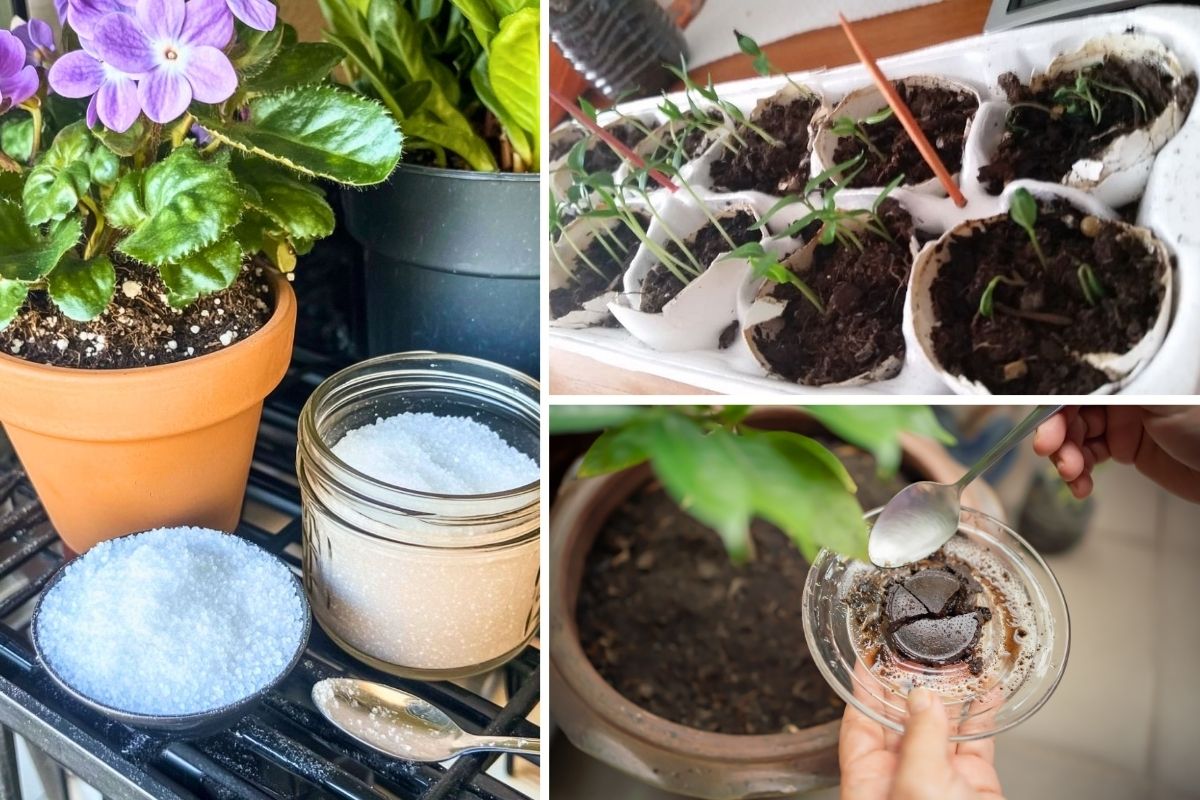 12 Organic Gardening Hacks Every Beginner Should Know