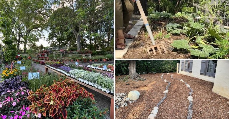 7 Ways to Refresh Your Garden Plans for a Productive New Year