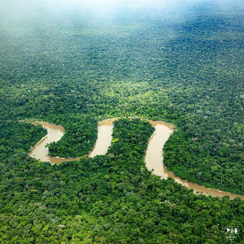 Amazon Rainforest, South America