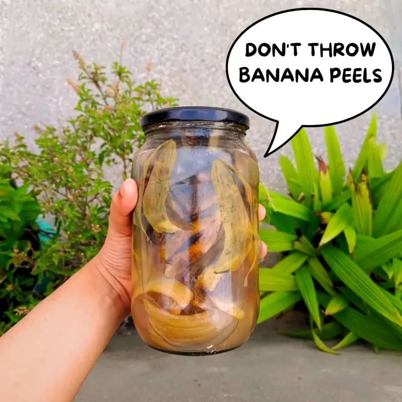 Banana Peel Fertilizer