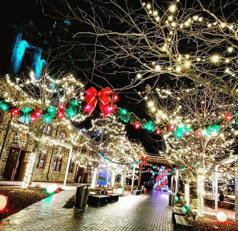 Bethlehem Christmas Celebration, West Bank