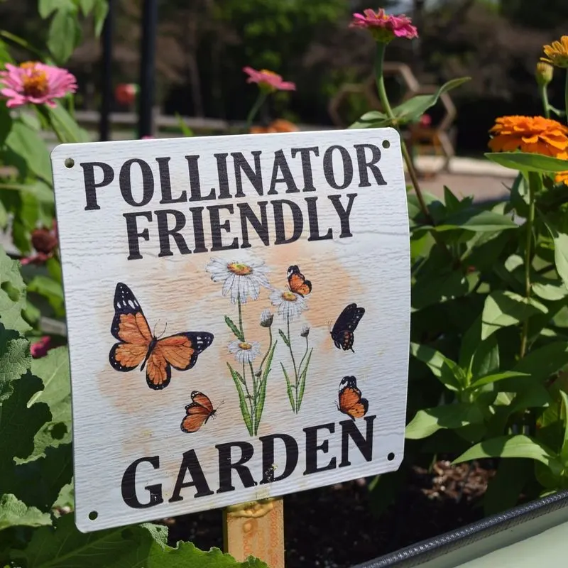 Butterfly and Bee Friendly Garden