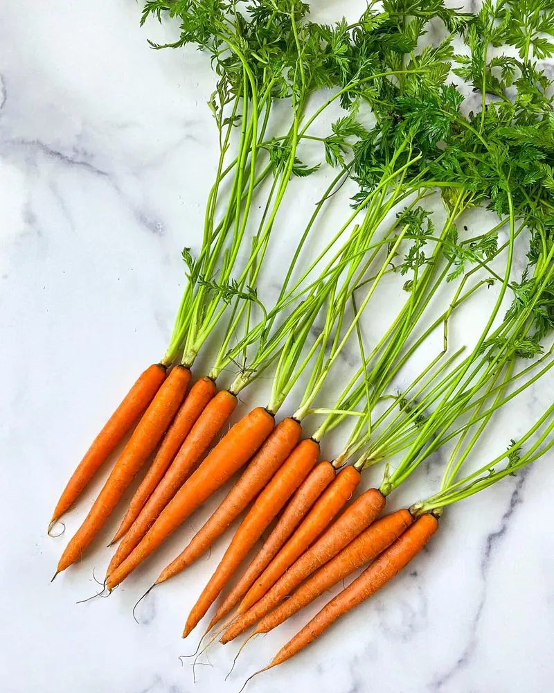 Carrot Tops