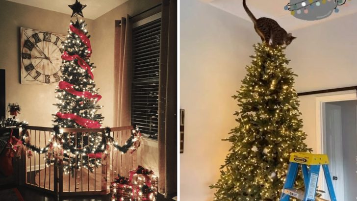 Cat-Proof Your Holidays: 8 Smart Tips to Keep Your Christmas Tree Standing Tall