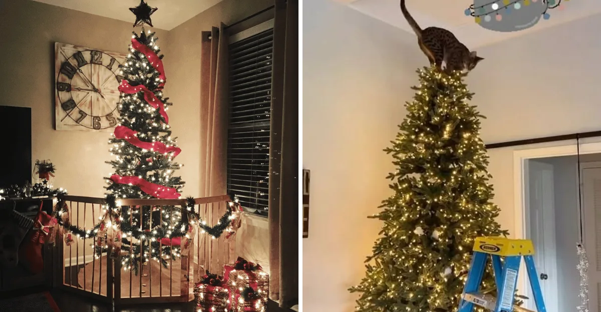 Cat-Proof Your Holidays 8 Smart Tips to Keep Your Christmas Tree Standing Tall