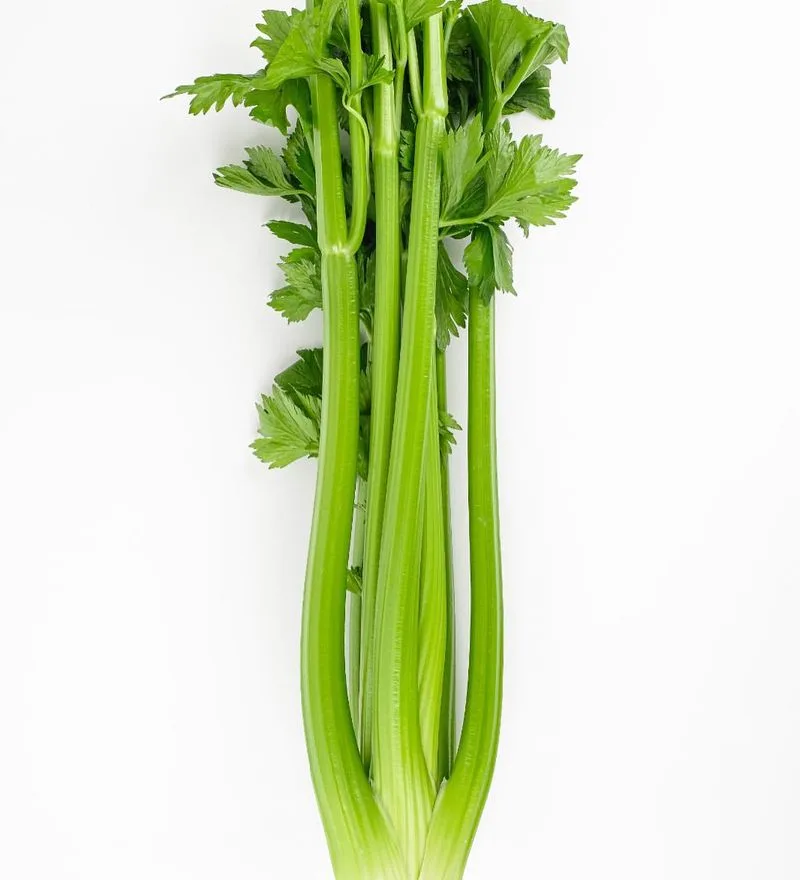 Celery