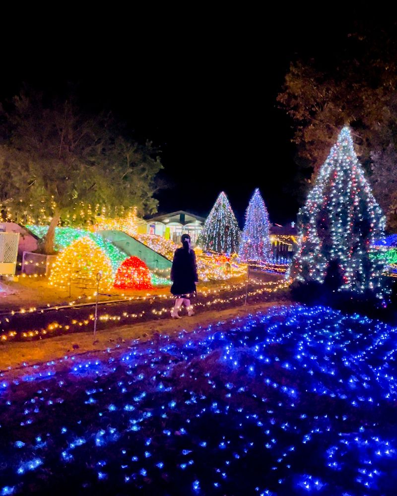 Christmas Illuminations, Kobe, Japan