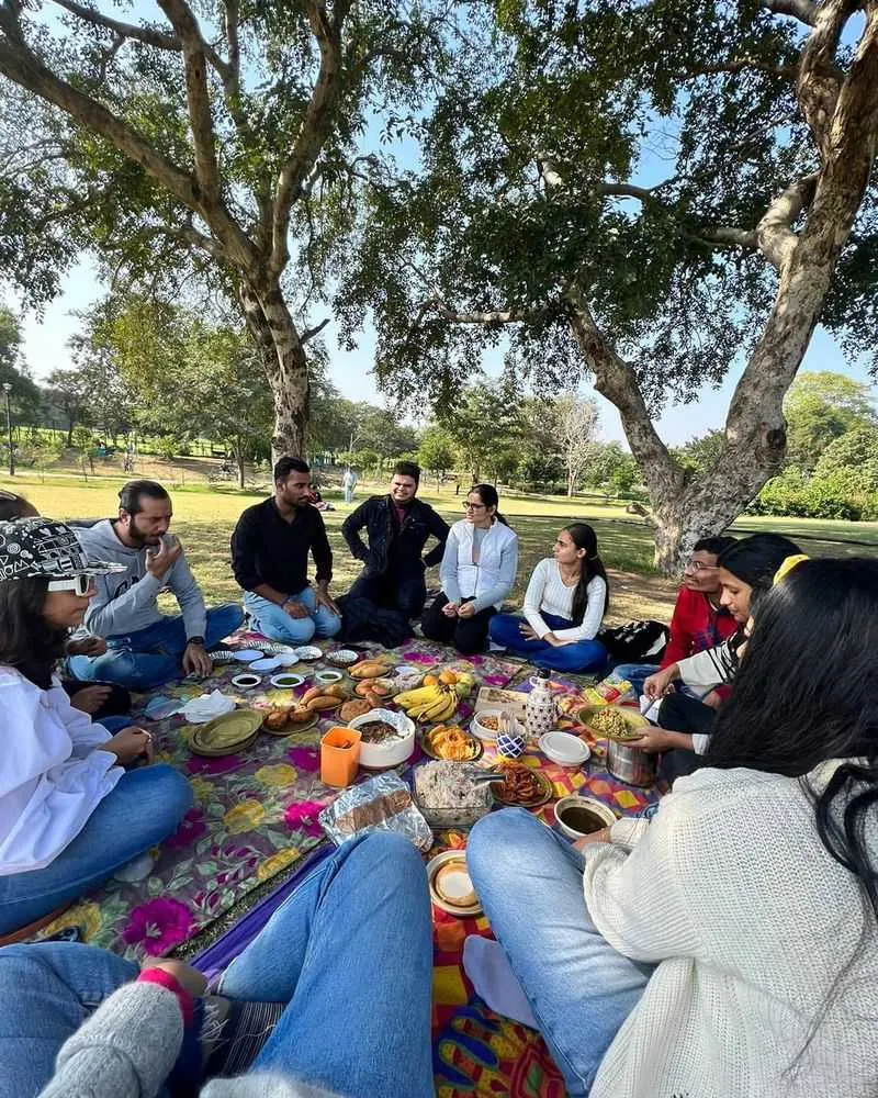 Community Picnics