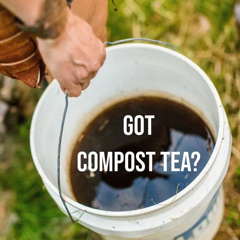 Compost Tea Fertilizer