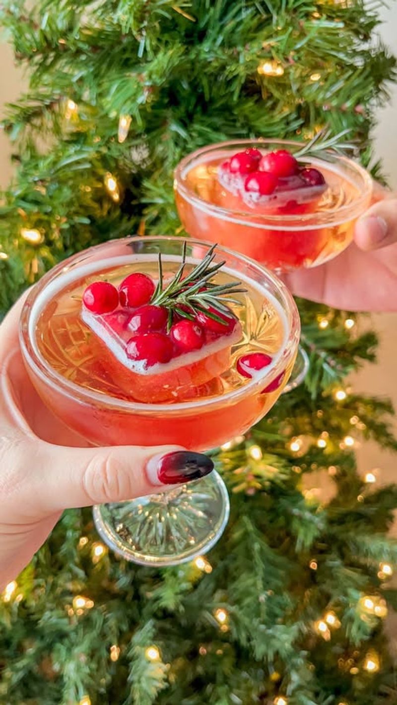 Cranberry-Infused Vodka