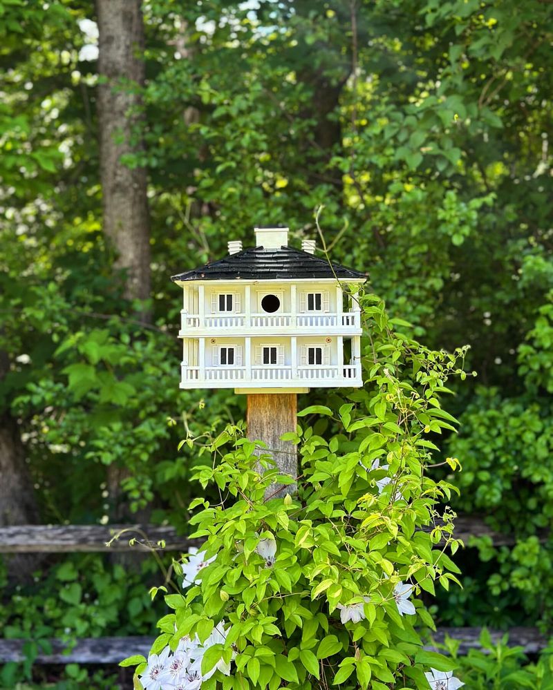 Create Shelter with Nesting Boxes