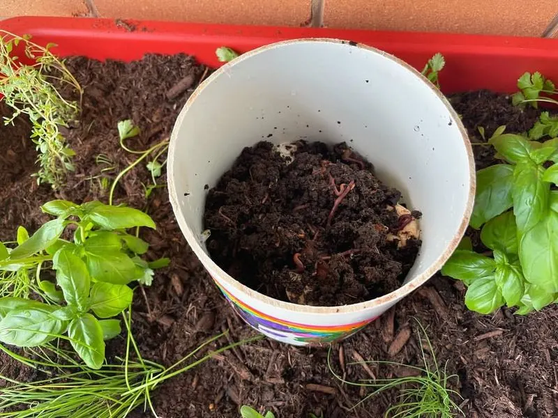 Create a Worm Compost Bin