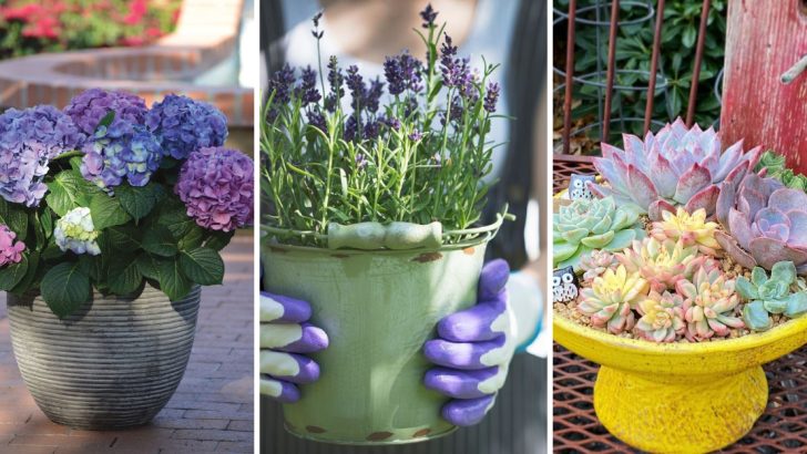 Design a Stunning Potted Garden With These 13 Container Plants