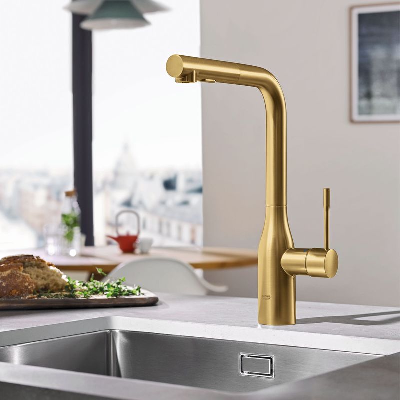 Designer Kitchen Faucet