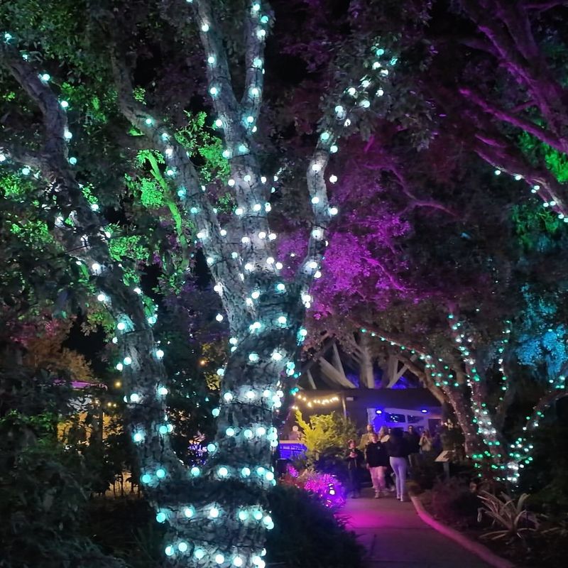 Enchanted Outdoor Lighting