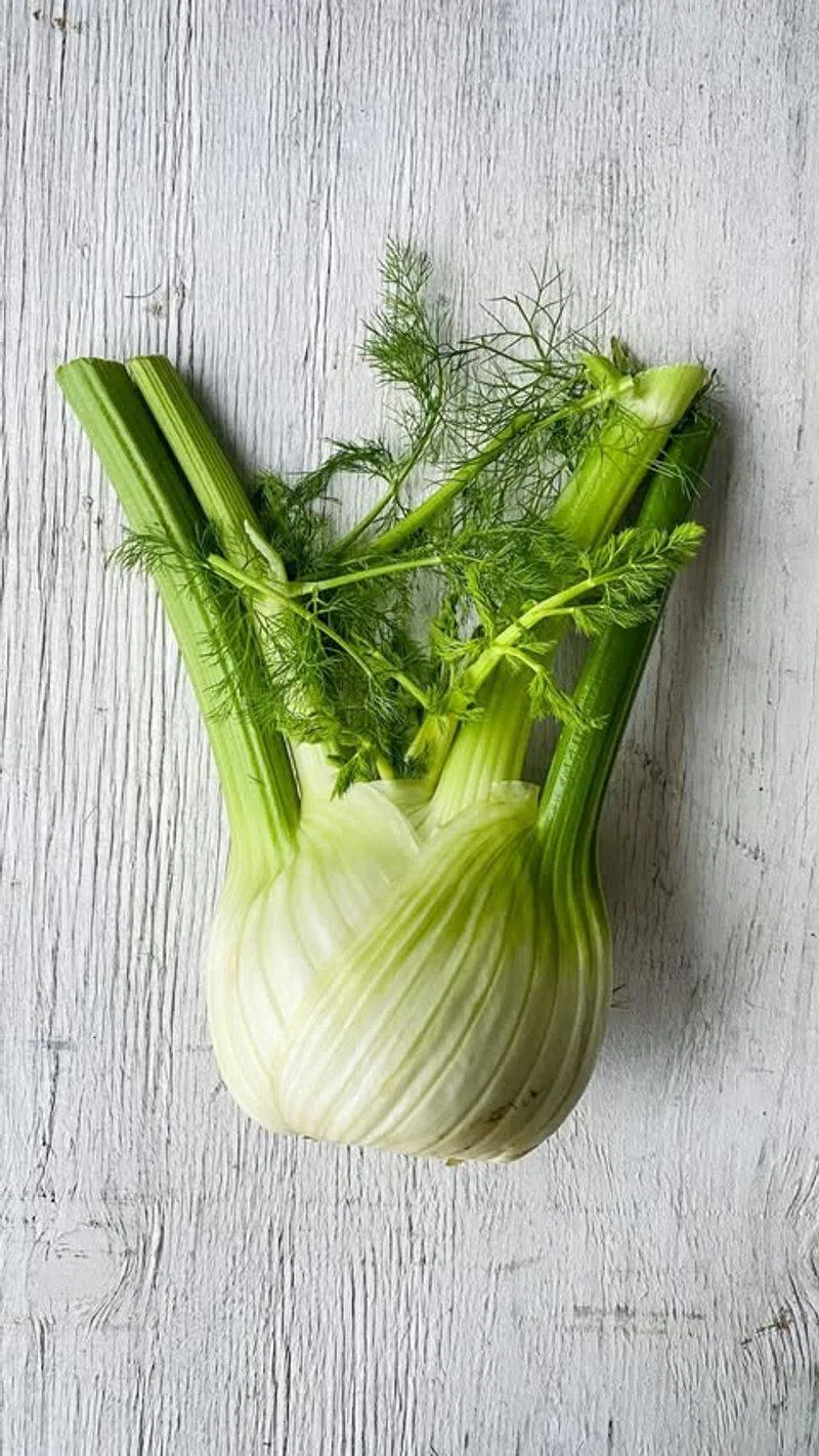 Fennel