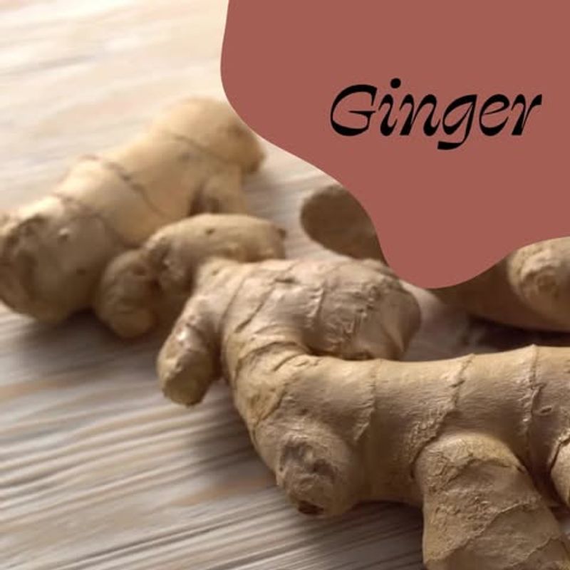 Ginger for Nausea