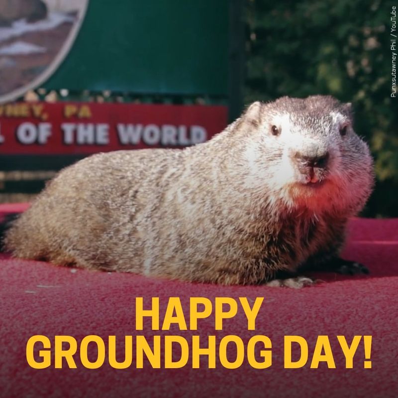 Groundhog Day