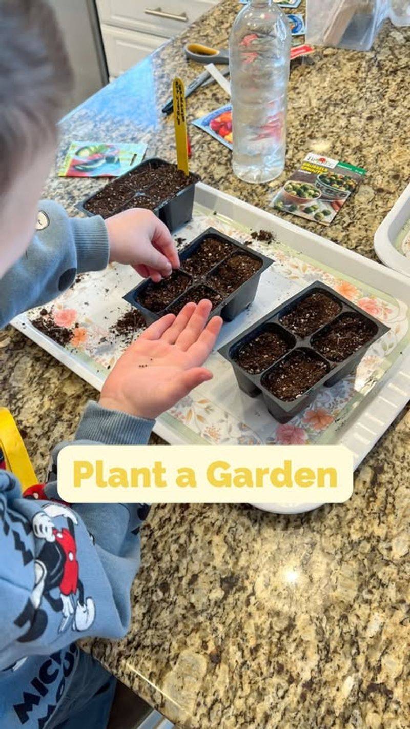 Herb Planting in Fun Containers