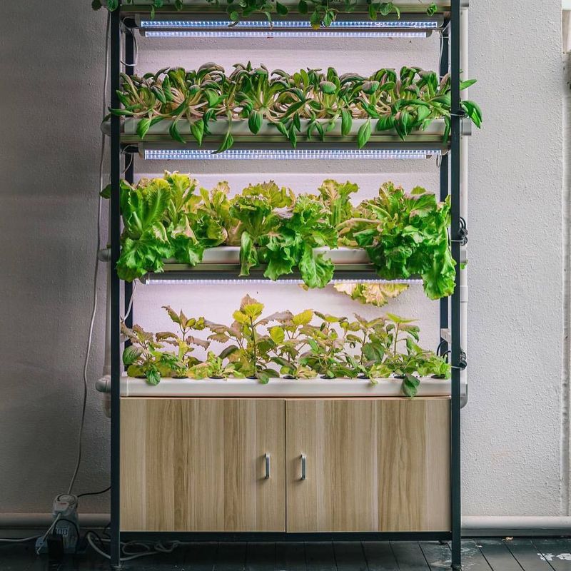 Hydroponic Kits