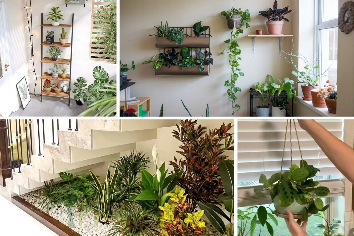 Indoor Gardening Tips That Make Growing Plants in Tiny Spaces Easy