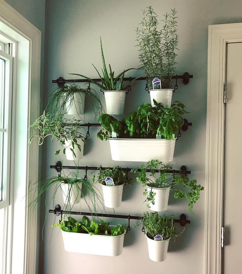 Indoor Herb Gardens