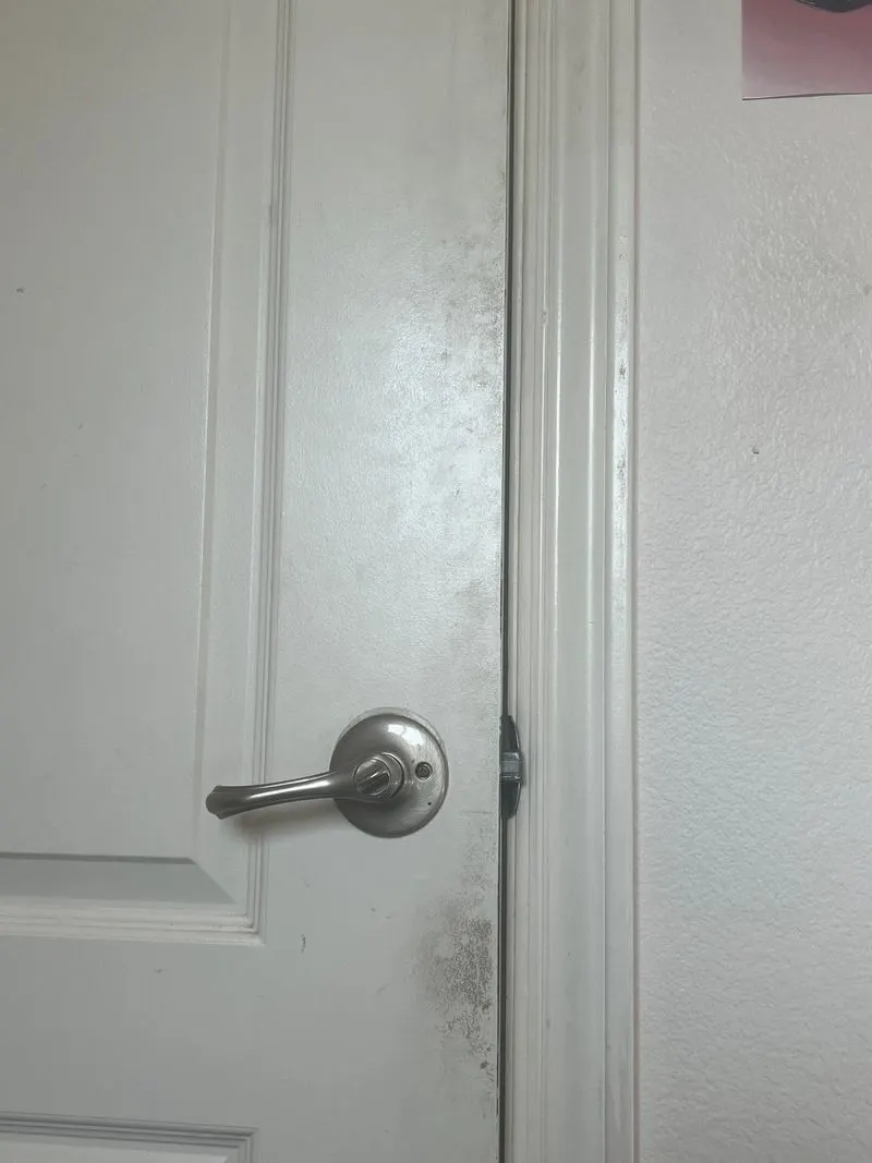 Light Switches and Door Handles