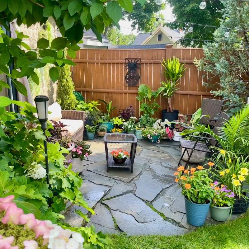 Lush Greenery and Plants