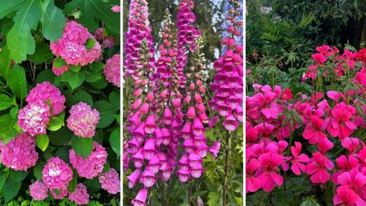 Make Every Day Brighter with These 15 Gorgeous Pink Plants