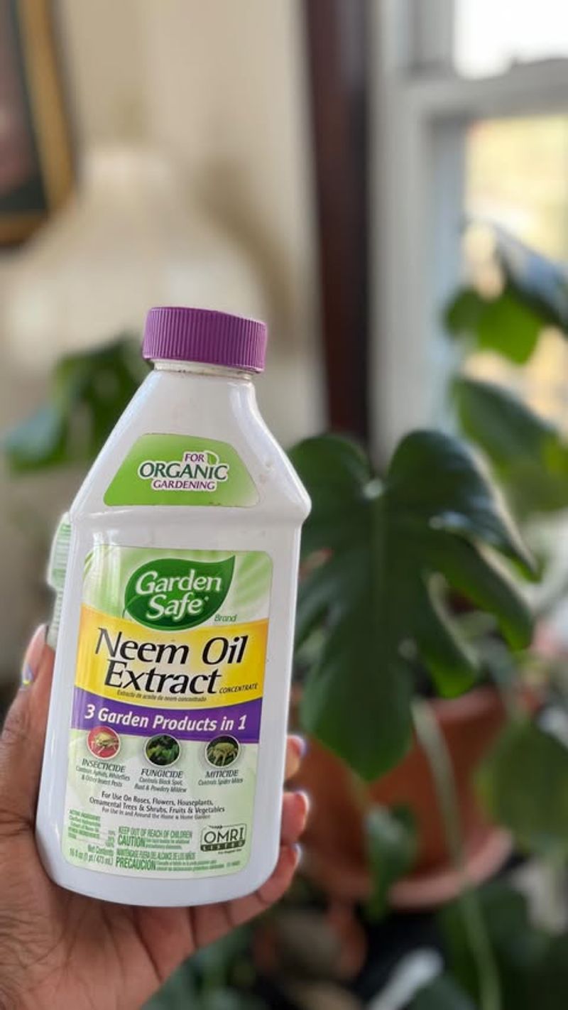 Natural Pest Control with Neem Oil