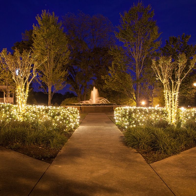 Net Lights for Bushes