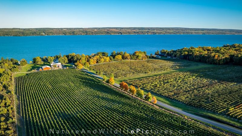 New York: Finger Lakes