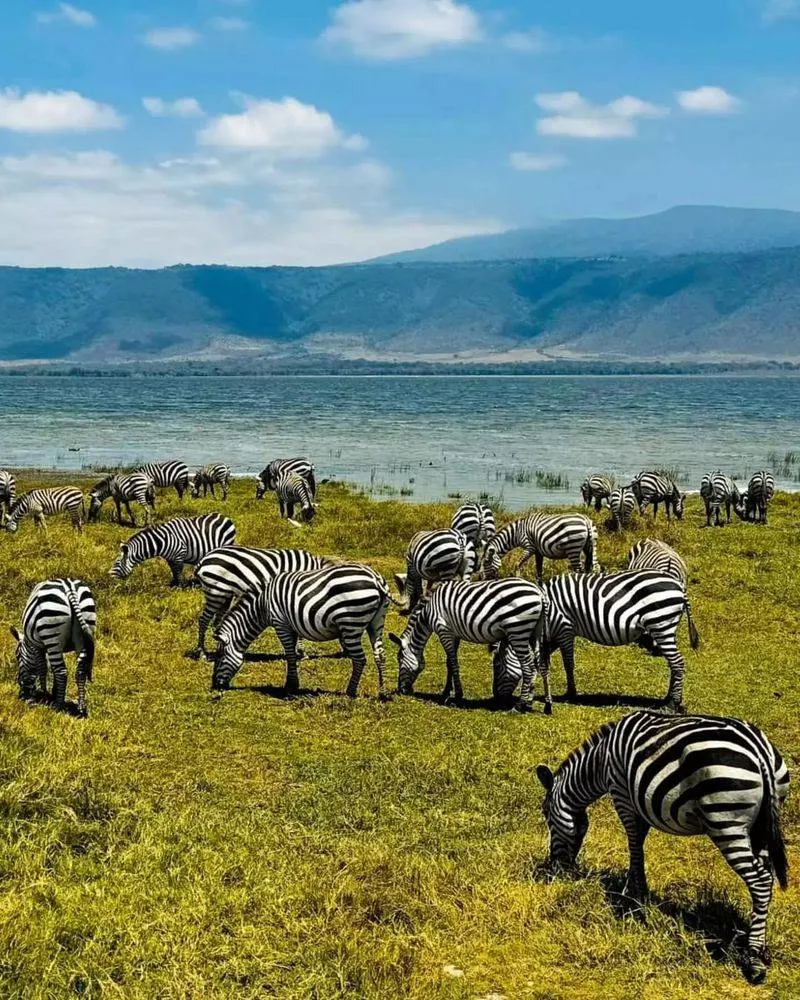 Ngorongoro Crater, Tanzania