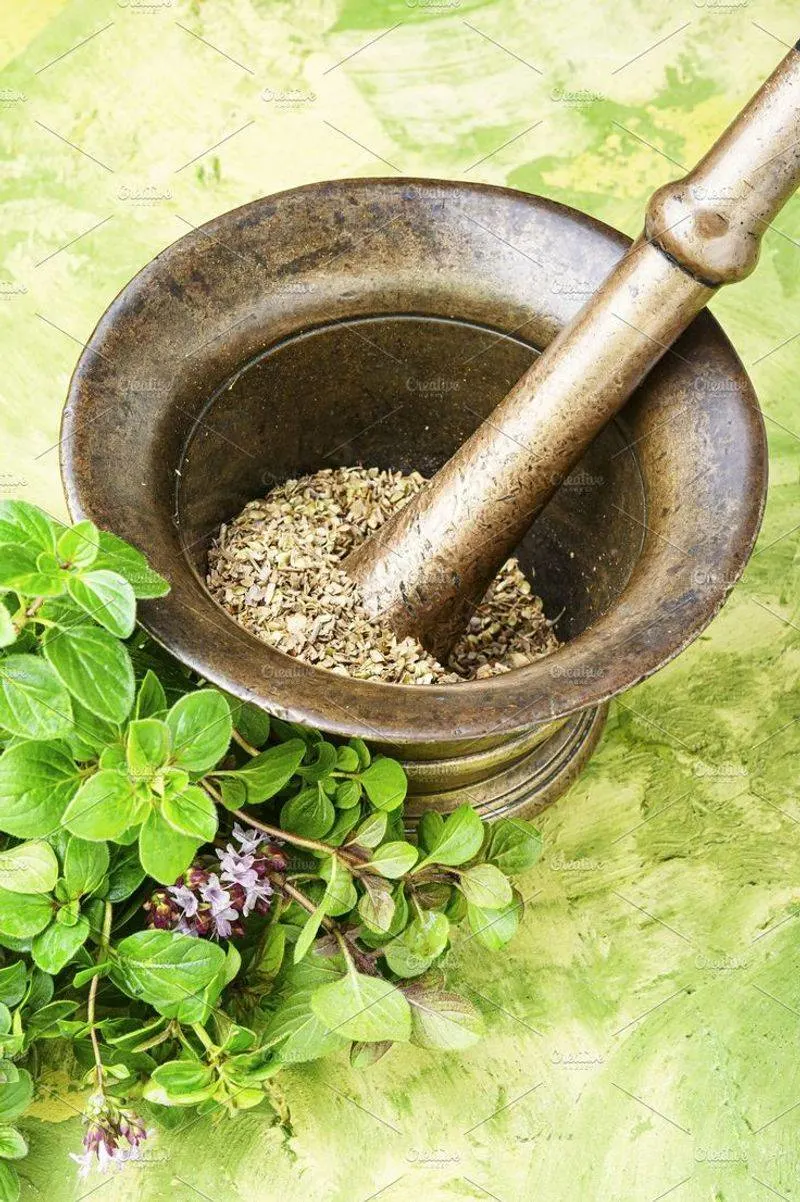 Oregano