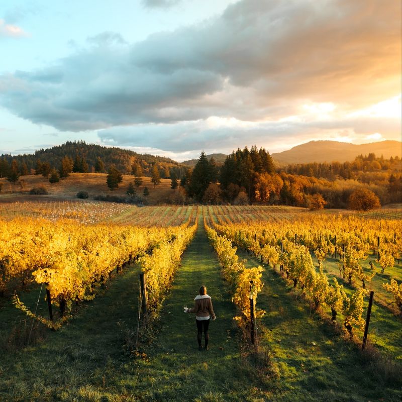 Oregon: Willamette Valley