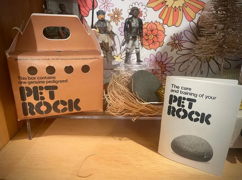 Pet Rocks