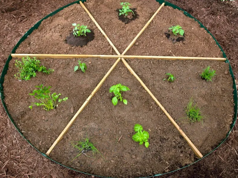 Plant a Pizza Garden